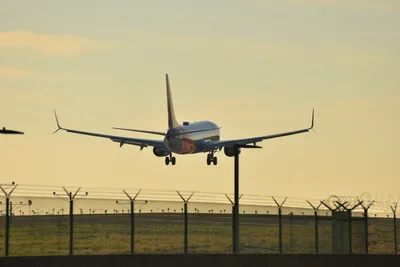 DSC_5681 (Large).JPG